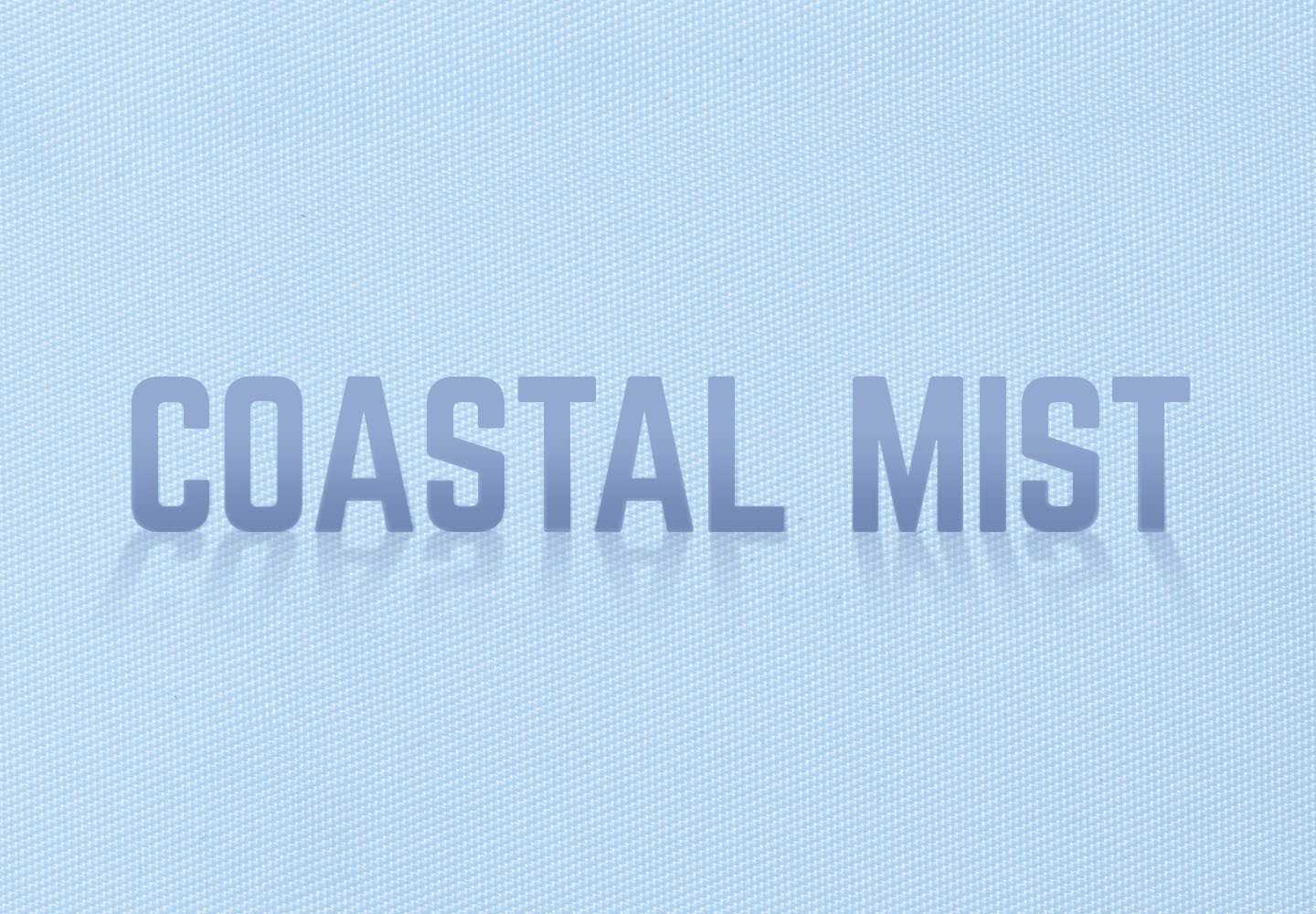 Coastal Mist