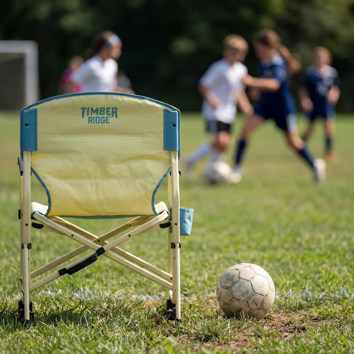 TEGO FLOWMOTION ROCKER – Timber Ridge Products